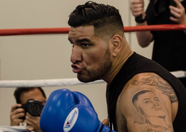 Arreola Press Workout  2014 (11 of 13)