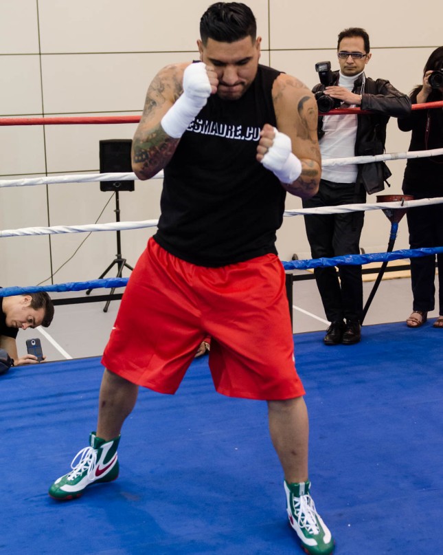 Arreola Press Workout  2014 (3 of 13)