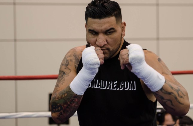 Arreola Press Workout  2014 (4 of 13) (1)