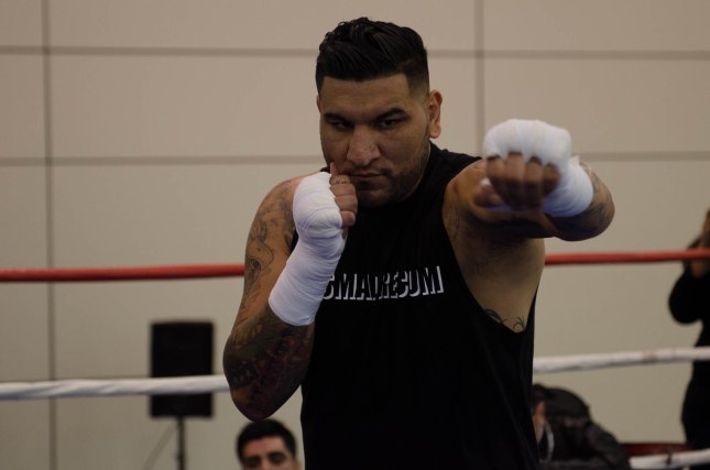 Arreola Press Workout  2014 (5 of 13)