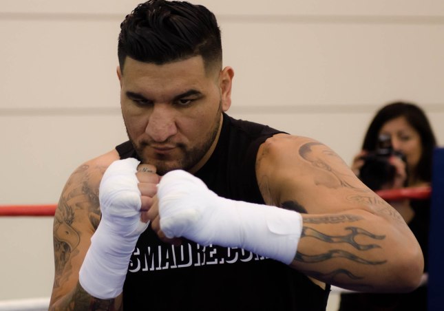 Arreola Press Workout  2014 (6 of 13)