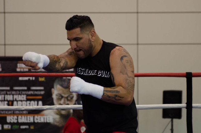 Arreola Press Workout  2014 (8 of 13)